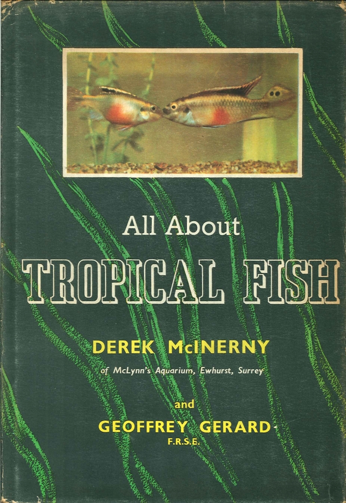 All About Tropical Fish All About Tropical Fish