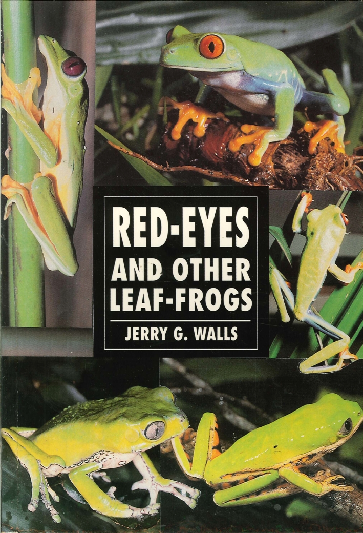 Red Eyes and Other Leaf Frogs Red Eyes and Other Leaf Frogs