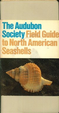 The Audubon Society Field Guide To North American Seashells