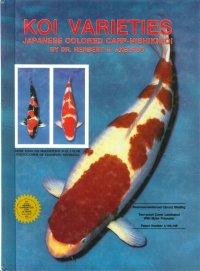 Koi Varieties. Japanese Colored Carp-Nishikigoi