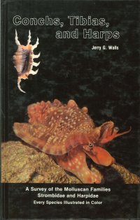 Conchs, Tibias, and Harps