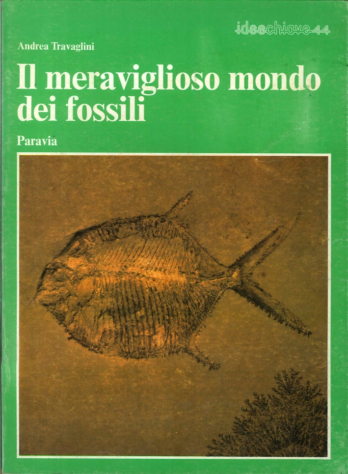 Il Meraviglioso Mondo dei Fossili Il Meraviglioso Mondo dei Fossili