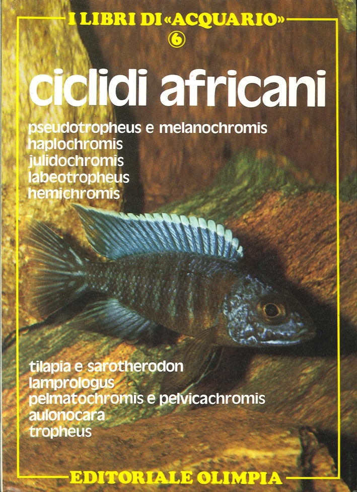 Ciclidi Africani Ciclidi Africani