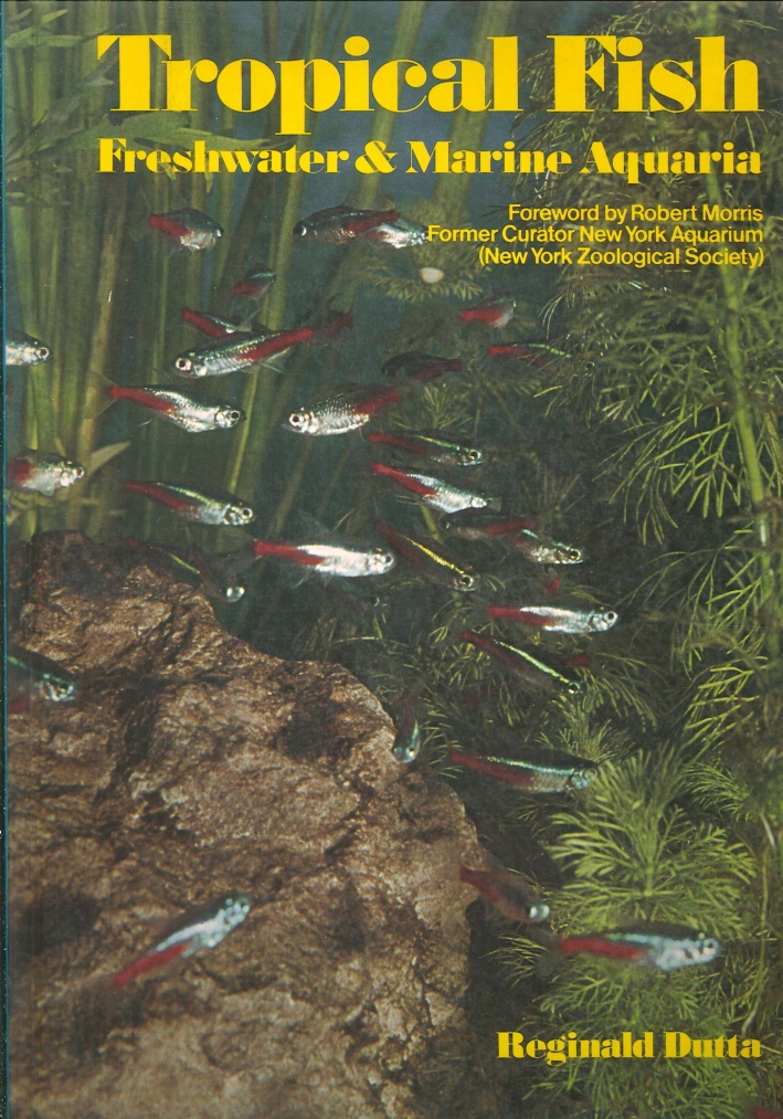 Tropical Fish. Freshwater and Marine Aquaria. Setting Up and Maintaining Freshwater and Marine Aquaria Tropical Fish. Freshwater and Marine Aquaria. Setting Up and Maintaining Freshwater and Marine Aquaria