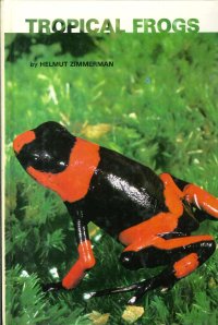 Tropical Frogs