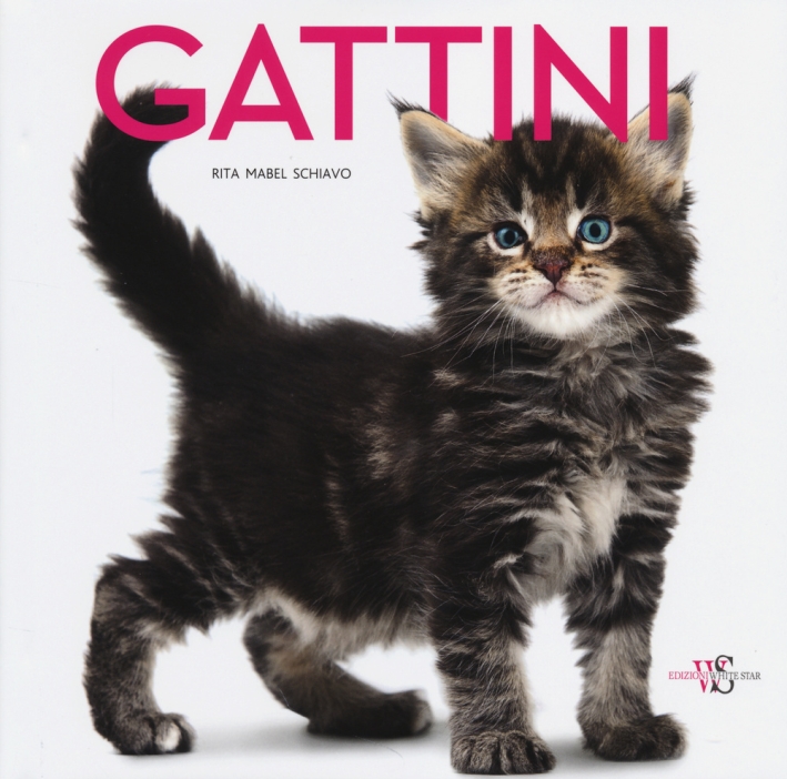 Gattini. Ediz. illustrata Gattini. Ediz. illustrata