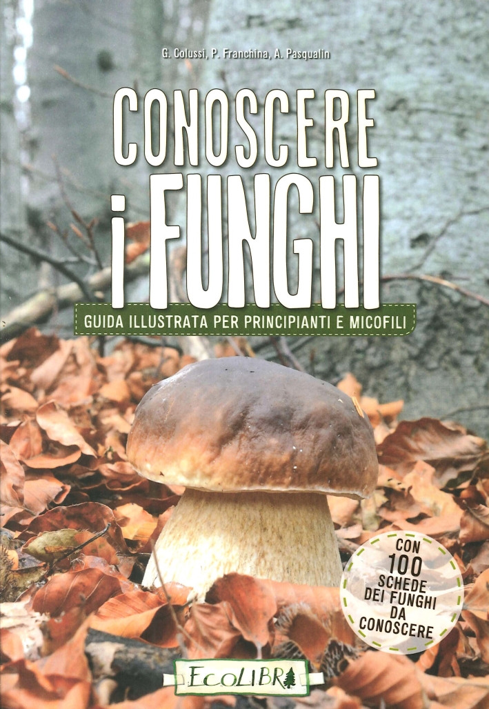 Conoscere i funghi. Guida illustrata per principianti e micofili Conoscere i funghi. Guida illustrata per principianti e micofili