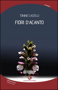 Fiori d'acanto Fiori d'acanto