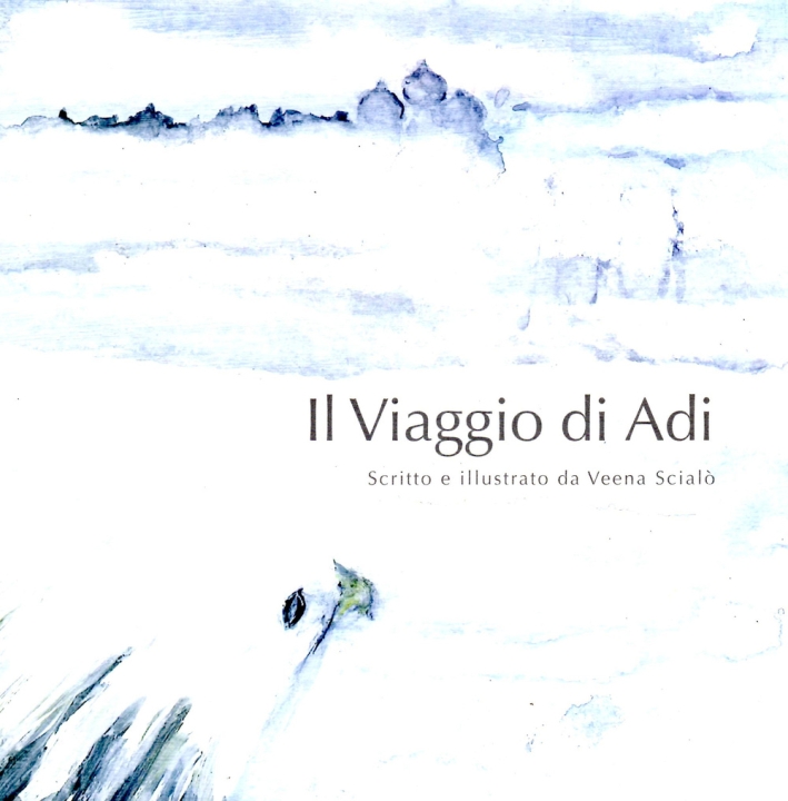 Il viaggio di Adi Il viaggio di Adi