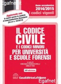 Il codice civile e i codici minori