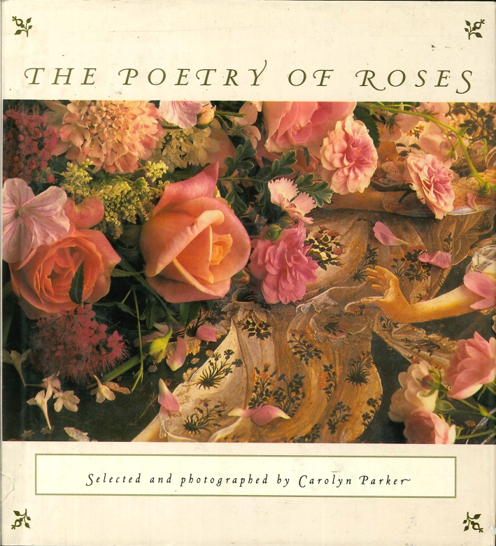 The Poetry of Roses The Poetry of Roses