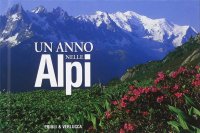 Un anno nelle Alpi