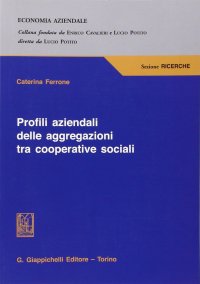 Profili aziendali delle aggregazioni tra cooperative sociali