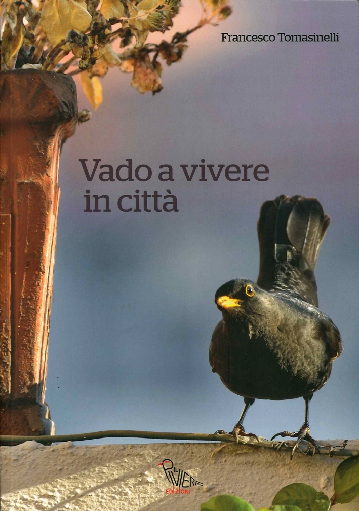 Vado a Vivere in Città Vado a Vivere in Città