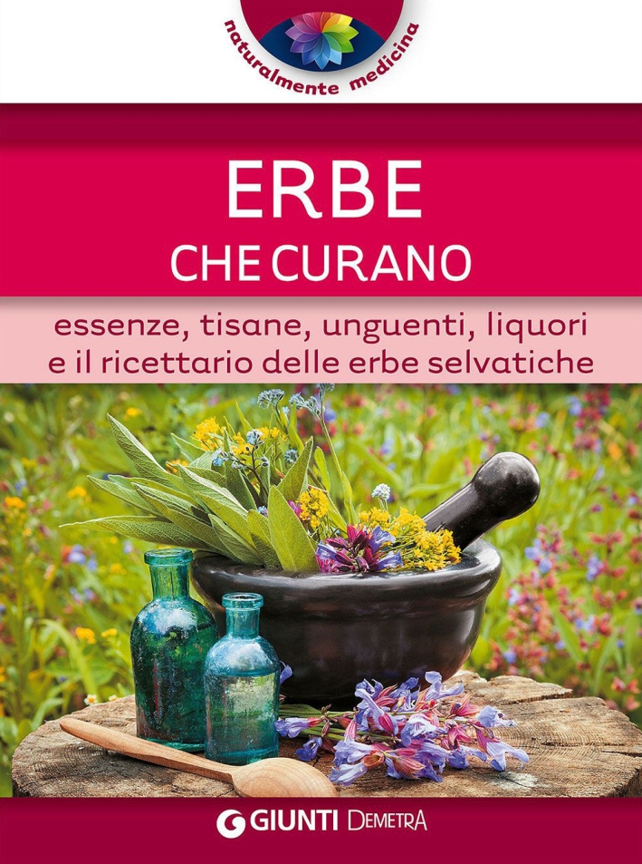 Erbe che curano. Essenze, tisane, unguenti, liquori e il ricettario delle erbe selvatiche Erbe che curano. Essenze, tisane, unguenti, liquori e il ricettario delle erbe selvatiche