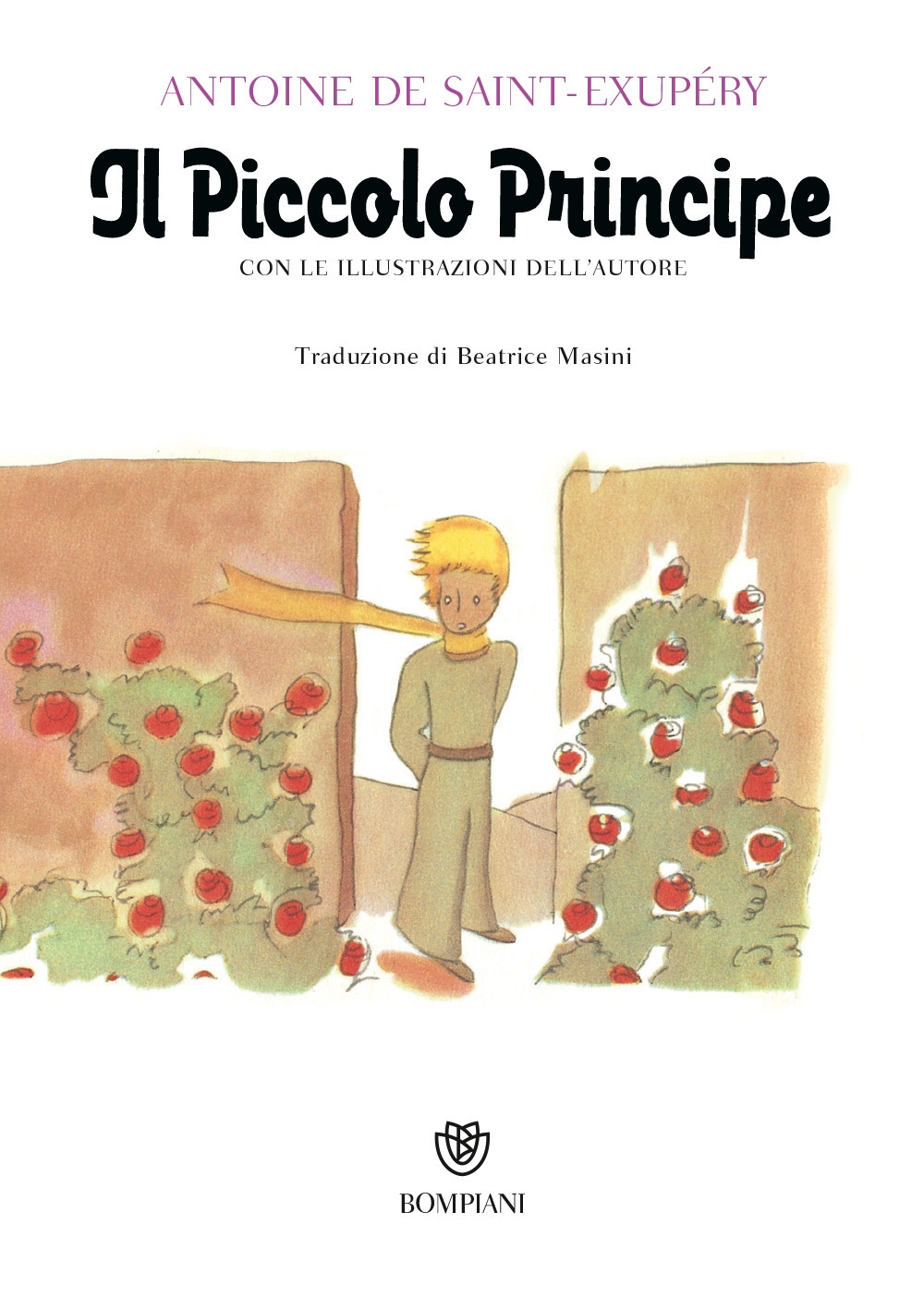 Il Piccolo Principe Il Piccolo Principe