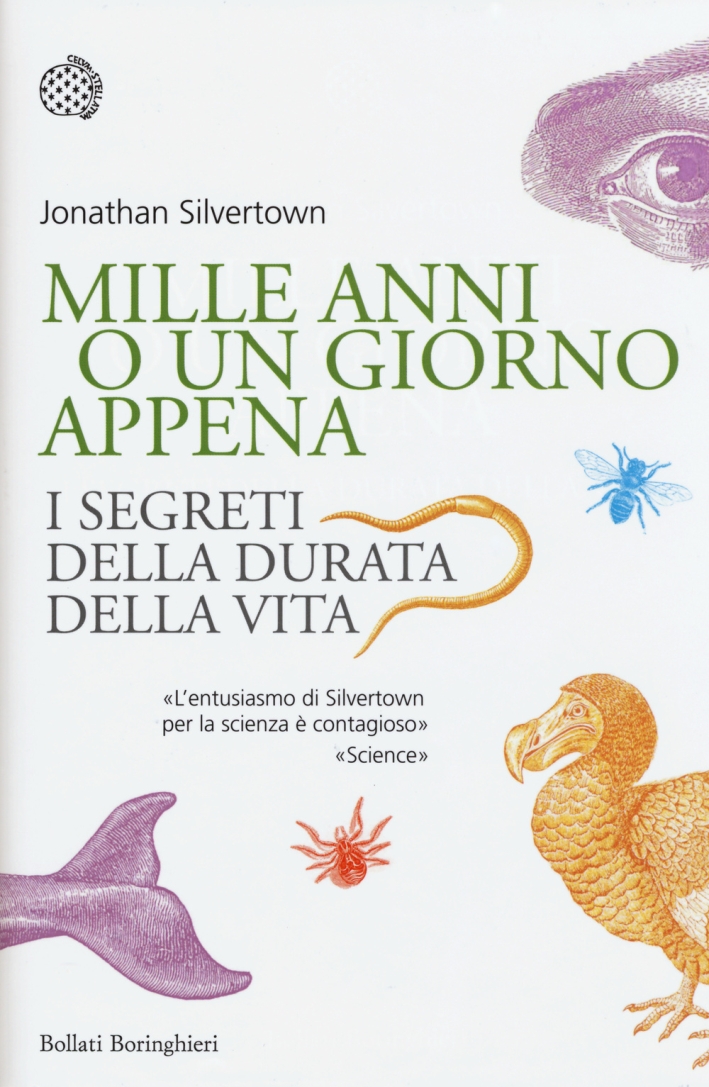 Mille anni o un giorno appena. I segreti della durata della vita Mille anni o un giorno appena. I segreti della durata della vita