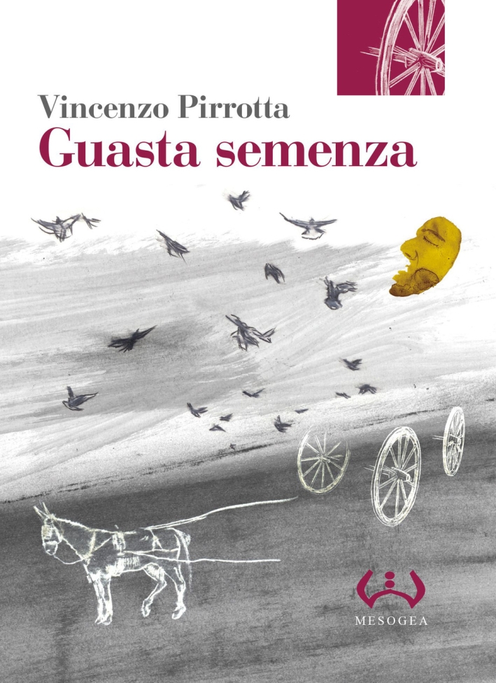 Guasta semenza Guasta semenza
