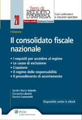 Il consolidato fiscale nazionale Il consolidato fiscale nazionale