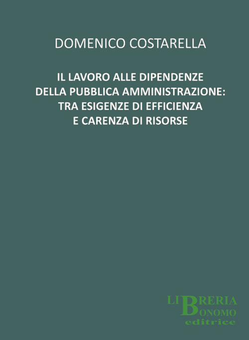 Il lavoro alle dipendenze della pubblica amministrazione. Tra esigenze di efficienza e acrenza di risorse Il lavoro alle dipendenze della pubblica amministrazione. Tra esigenze di efficienza e acrenza di risorse