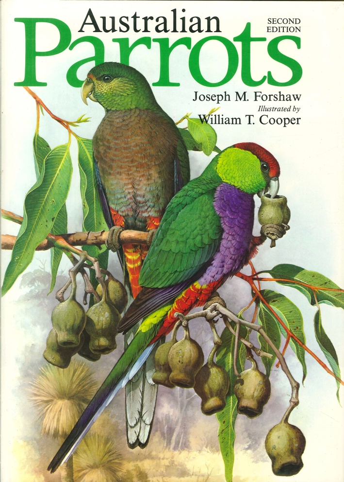 Australian Parrots Australian Parrots