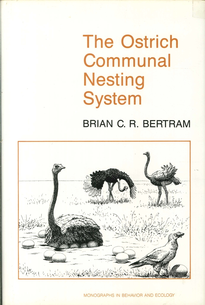 The Ostrich Communal Nesting System The Ostrich Communal Nesting System