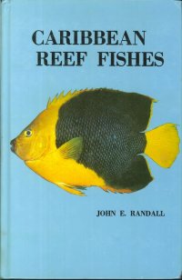 Carribean Reef Fishes