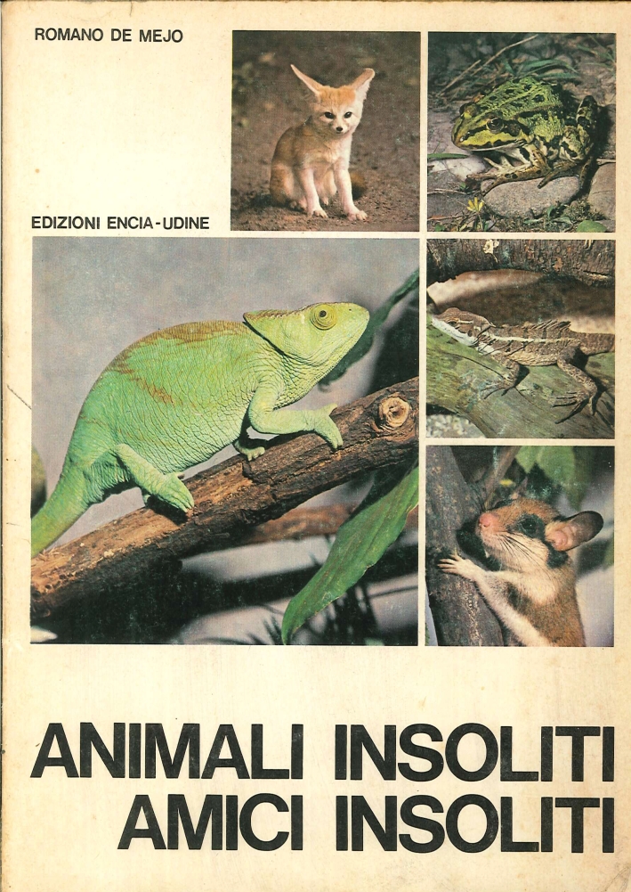 Animali Insoliti Amici Insoliti