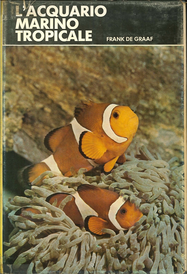 L'Acquario Marino Tropicale