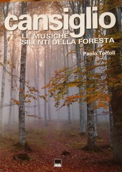Cansiglio. Le musiche silenti della foresta Cansiglio. Le musiche silenti della foresta