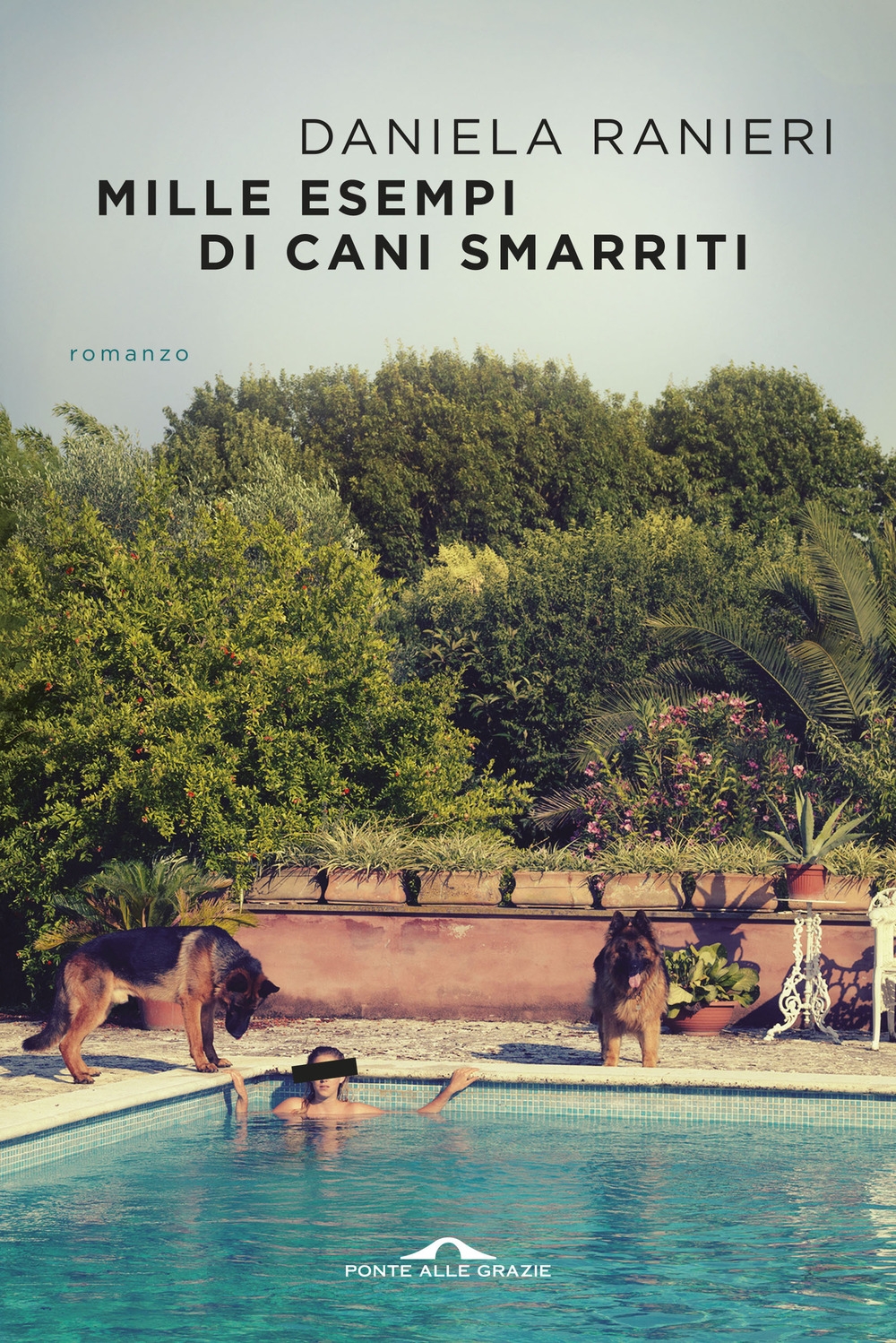 Mille esempi di cani smarriti Mille esempi di cani smarriti