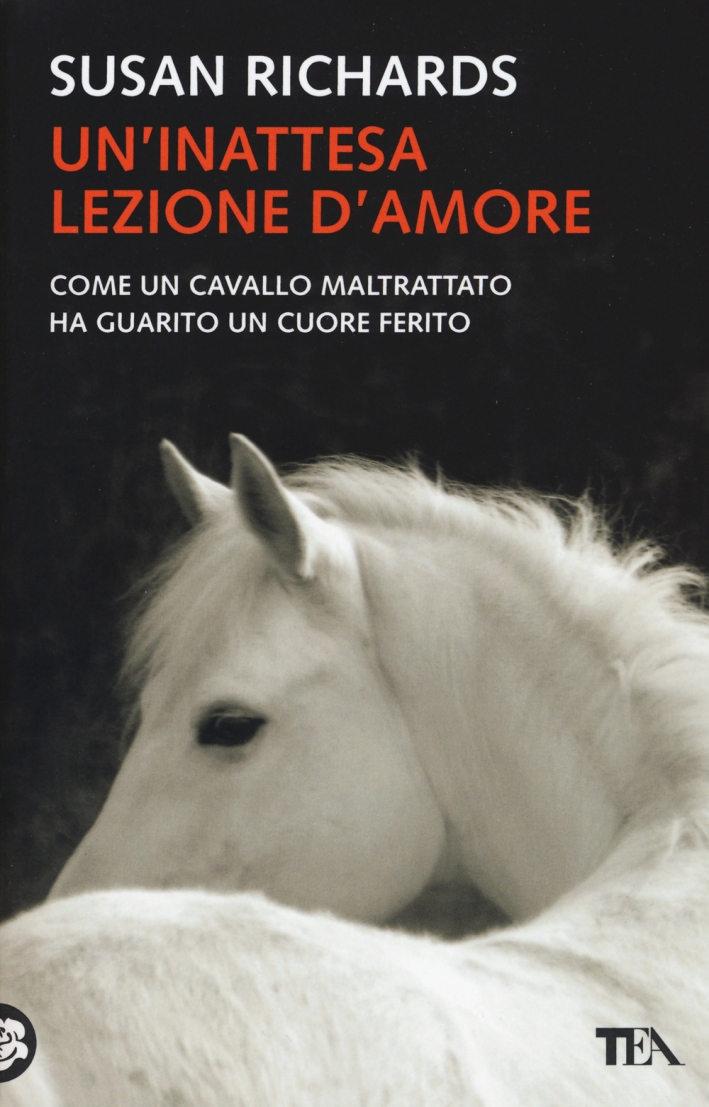 Un'inattesa lezione d'amore Un'inattesa lezione d'amore
