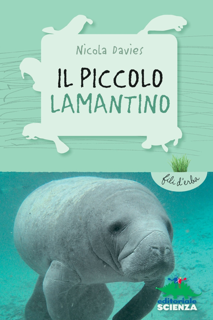 Il piccolo Lamantino Il piccolo Lamantino