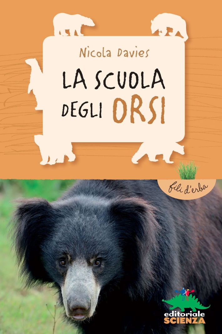La scuola degli orsi La scuola degli orsi