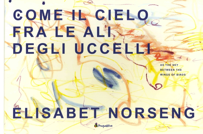 Come il Cielo fra le Ali degli Uccelli. As the Sky Between the Wings of Birds