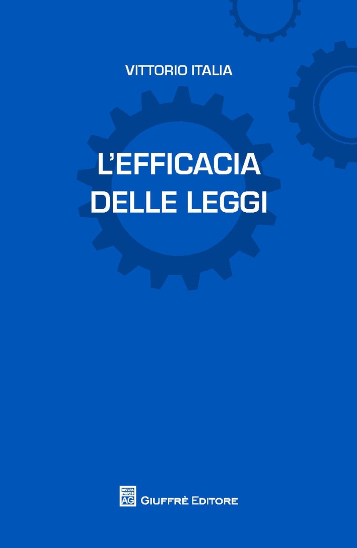 L'efficacia delle leggi L'efficacia delle leggi