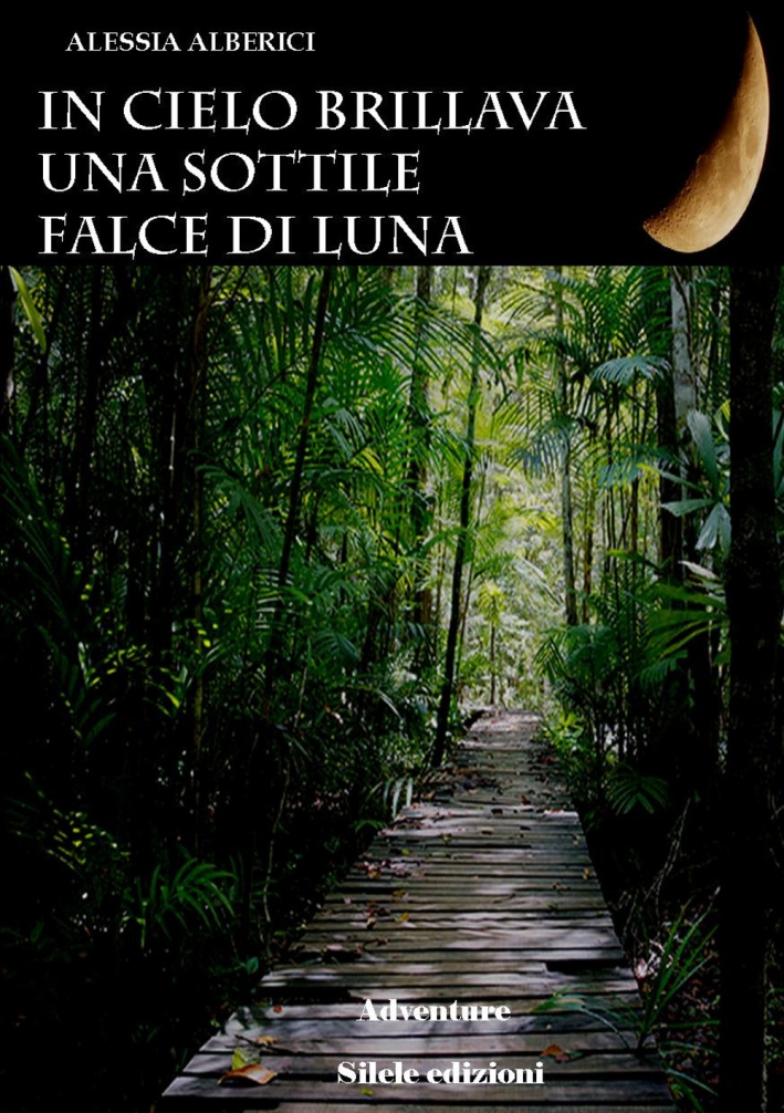 In cielo brillava una sottile falce di luna In cielo brillava una sottile falce di luna