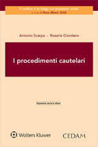 Procedimenti cautelari Procedimenti cautelari