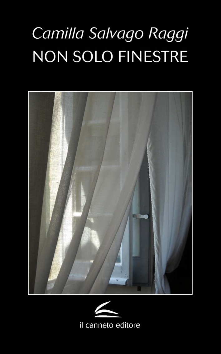 Non solo finestre Non solo finestre