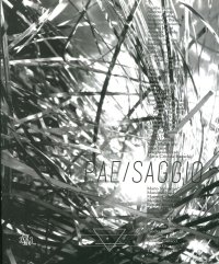 Pae/saggio