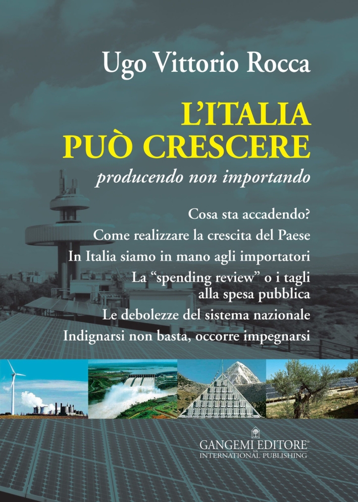 L'Italia Può Crescere. Producendo non Importando