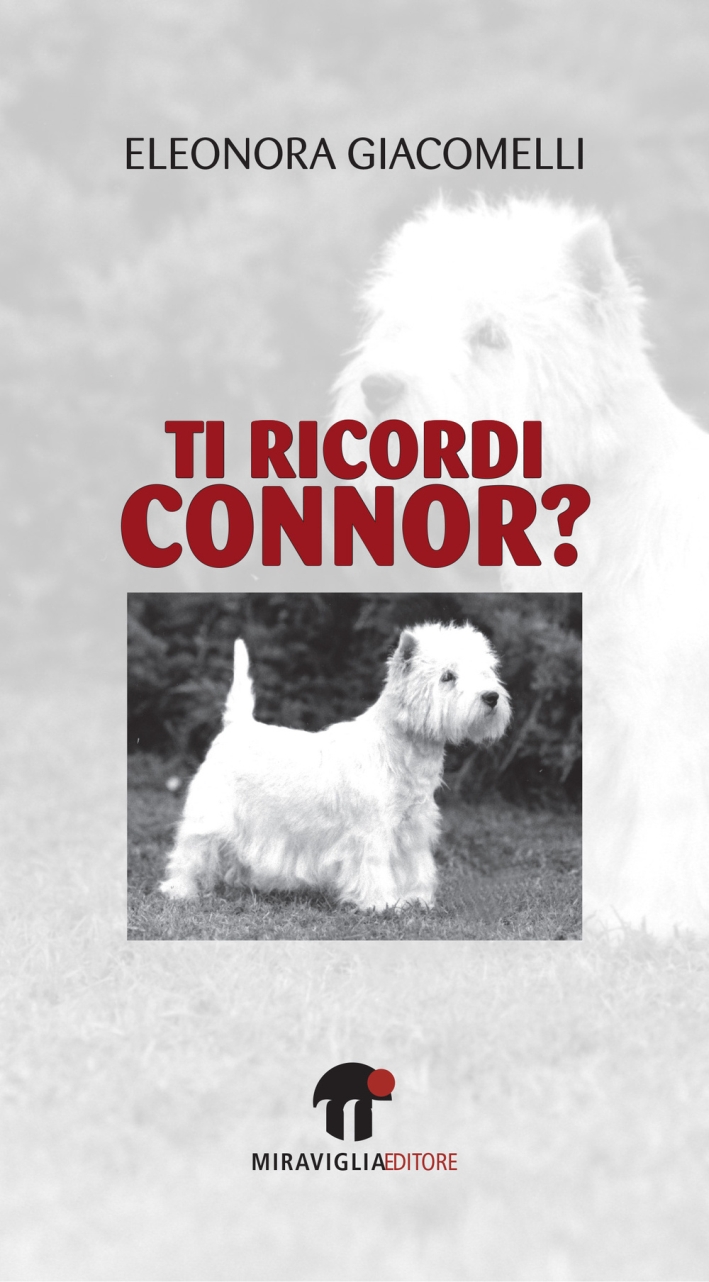 Ti ricordi Connor? Ti ricordi Connor?