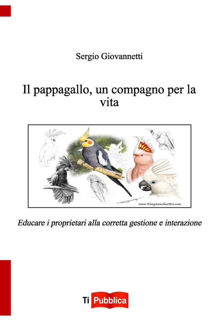 Il pappagallo, un compagno per la vita Il pappagallo, un compagno per la vita