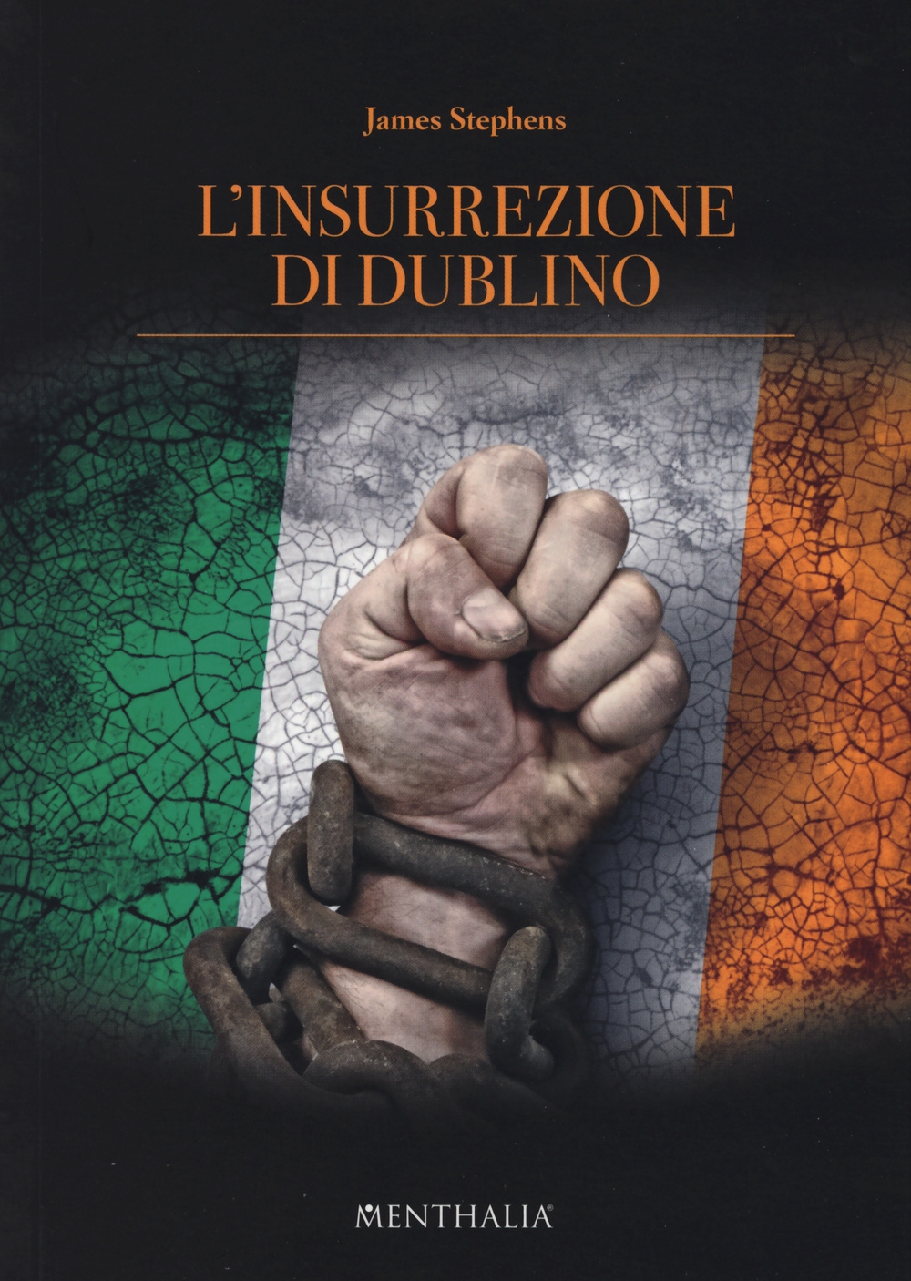 L'insurrezione di Dublino L'insurrezione di Dublino