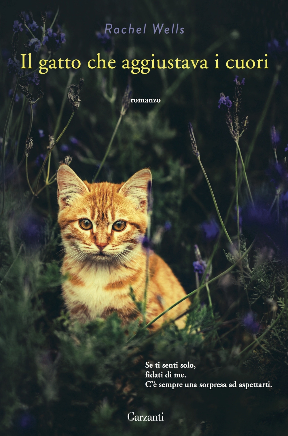 Il gatto che aggiustava i cuori Il gatto che aggiustava i cuori