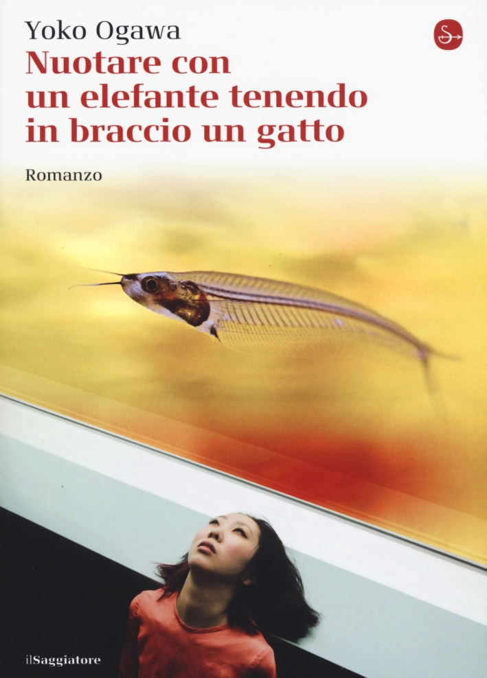 Nuotare con un elefante tenendo in braccio un gatto Nuotare con un elefante tenendo in braccio un gatto