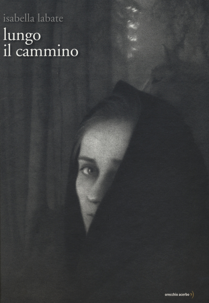 Lungo il cammino. Ediz. illustrata Lungo il cammino. Ediz. illustrata
