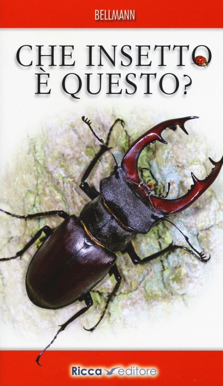 Che insetto è questo? Ediz. illustrata Che insetto è questo? Ediz. illustrata