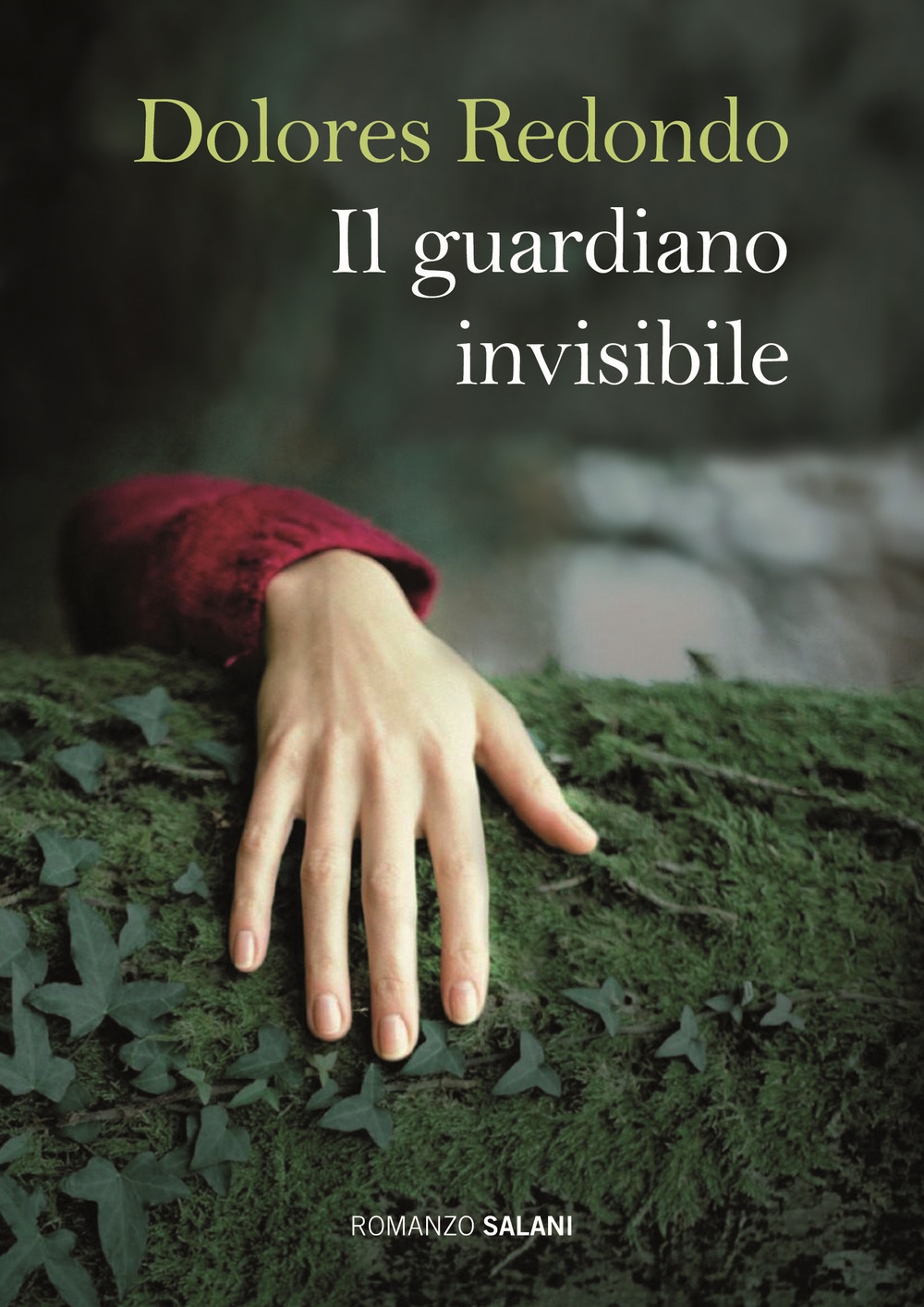 Il guardiano invisibile Il guardiano invisibile