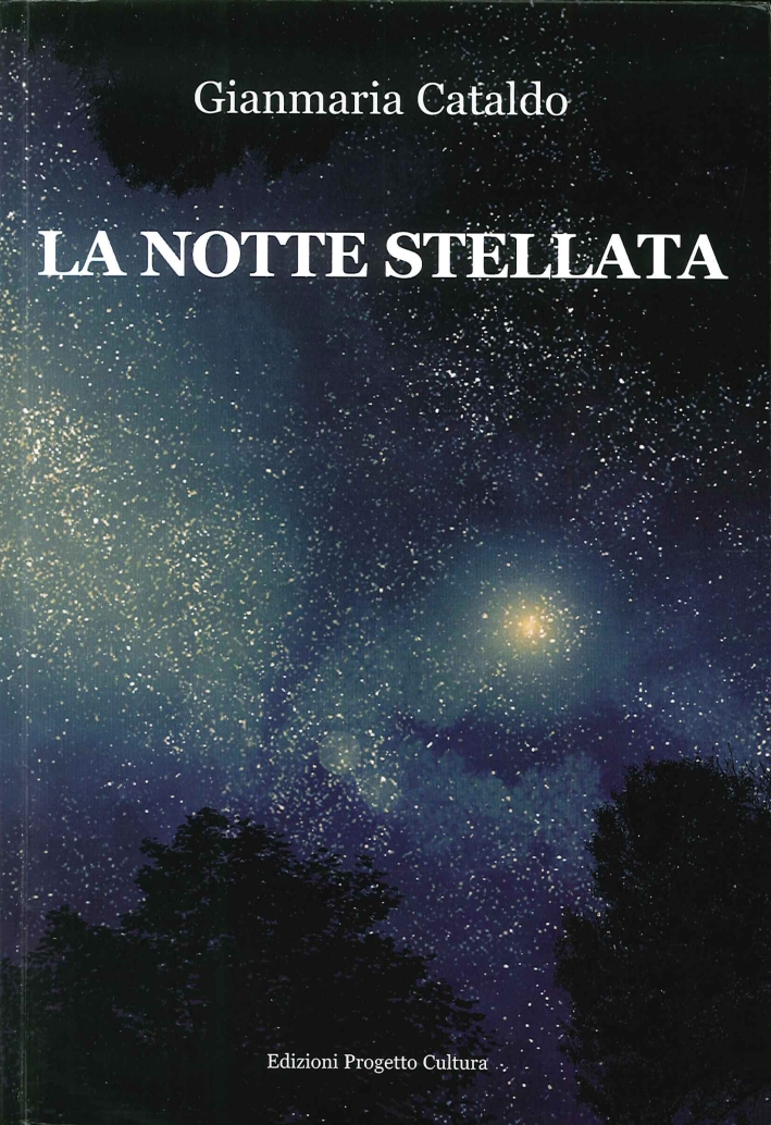 La notte stellata La notte stellata